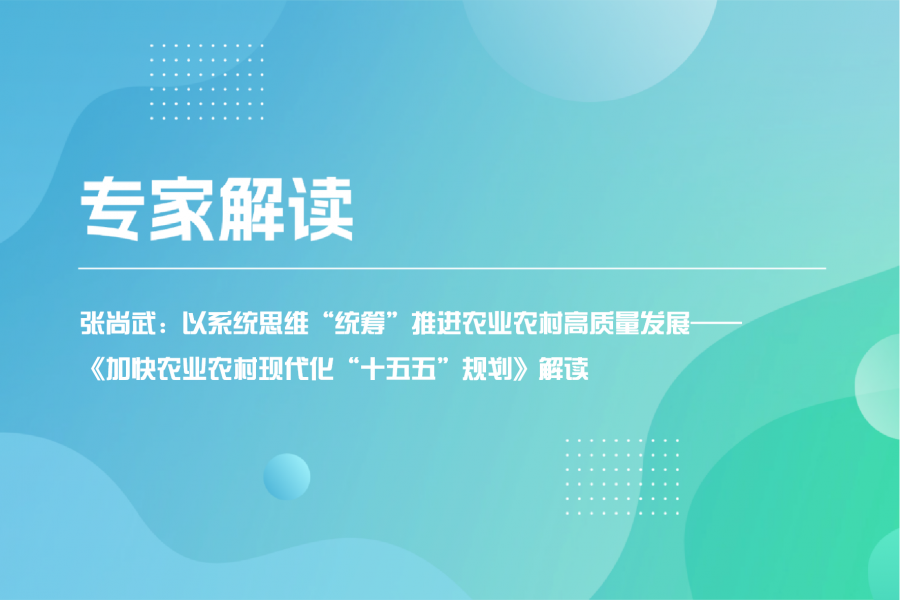 专家解读 - 张尚武：以系统思维&ldquo;统筹&rdquo;推进农业农村高质量发展&mdash;&mdash;《加快农业农村现代化&ldquo;十五五&rdquo;规划》解读