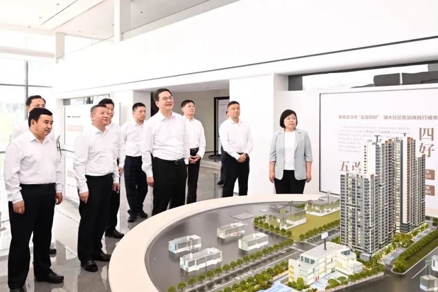 盛阅春调研城市更新工作